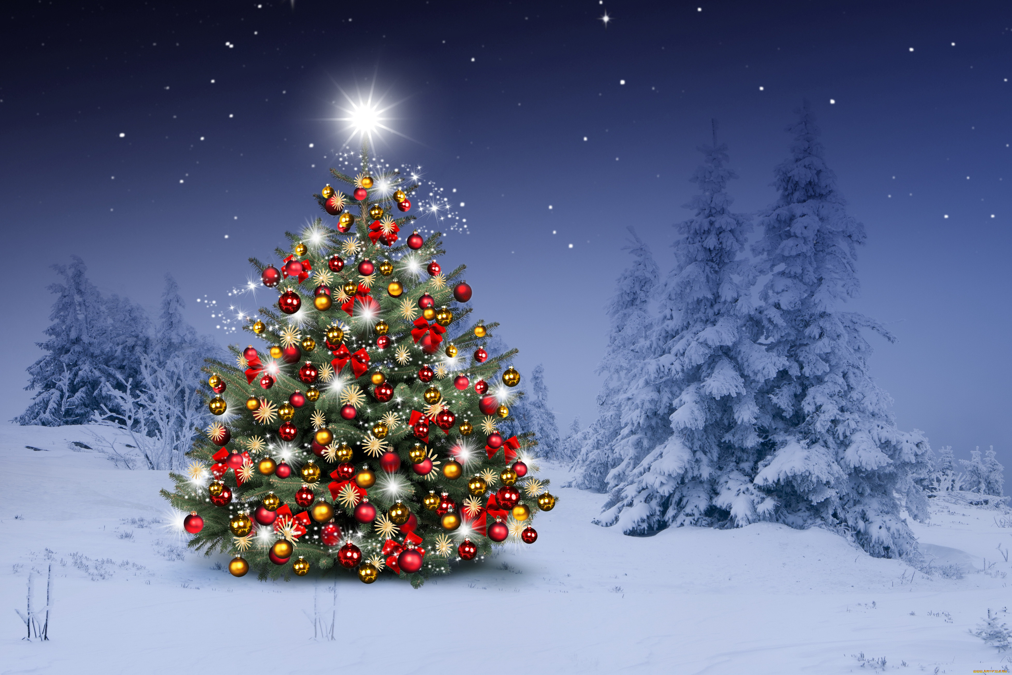, , , , merry, christmas, , , , winter, , , , xmas, snow, , tree, , night, , decoration, happy